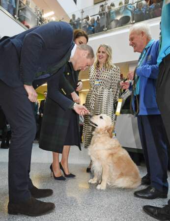 Comme Kate Middleton, le prince William est un ami des animaux et il n'a pas pu s'empêcher de toucher le chien de ce patient, hospitalisé au sein du "Royal Liverpool University Hospital".