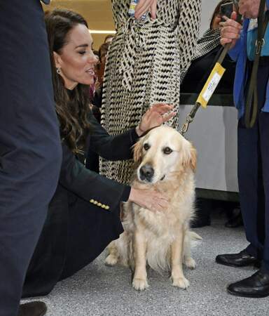 La princesse de Galles, Kate Middleton, n'a pas résisté à faire quelques caresses au chien guide d'un patient.
