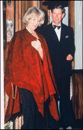 En 1986, le prince Charles renoue avec son ex-petite amie Camilla Parker Bowles, cinq ans après son mariage avec Diana et deux ans après la naissance de Harry.