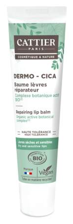 Baume lèvres réparateur Cica, Cattier, 5,95€ sur Cattier-Paris.com, et en pharmacies et parapharmacies