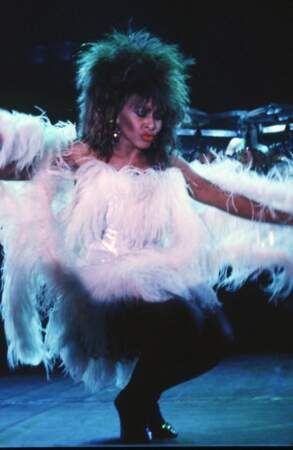 La crinière de lionne de Tina Turner 