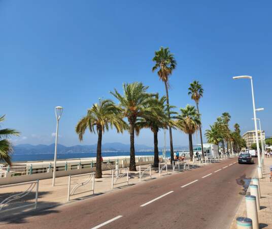 La Promenade de la Croisette - Cannes