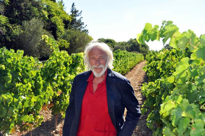 L'acteur français Pierre Richard  au milieu des vignes de son domaine viticole "Chateau Bel Eveque".
