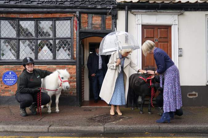Amie des animaux, Camilla a de nouveau caressé les deux adorables poneys sur le pas de la porte 