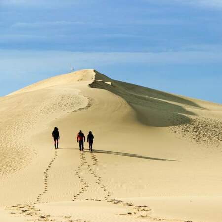 La dune du Pilat (123 900 requêtes)