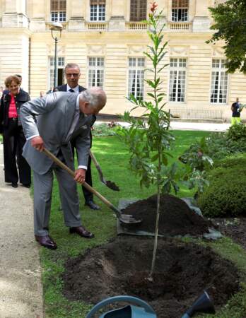Le roi Charles III et Camilla dans les jardins de l'Hôtel de ville de Bordeaux, ce vendredi 22 septembre 2023