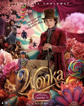 Aller au cinéma voir Wonka