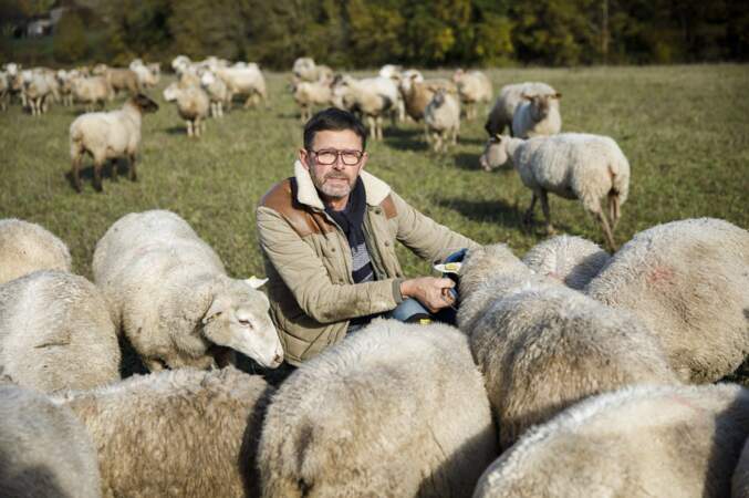 L'amour est dans le pré : Christophe, 57 ans, vigneron et éleveur d'ovins, Nouvelle Aquitaine