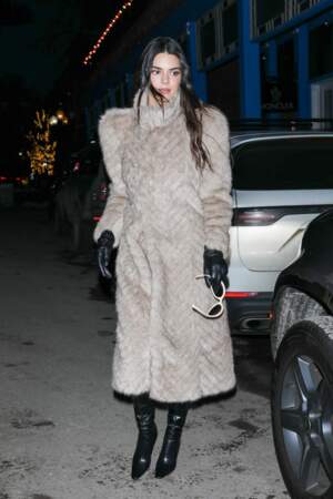 Kendall Jenner dévoile un nouveau manteau en fourrure