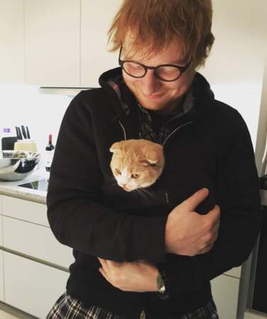 Ed Sheeran et son chat Calippo