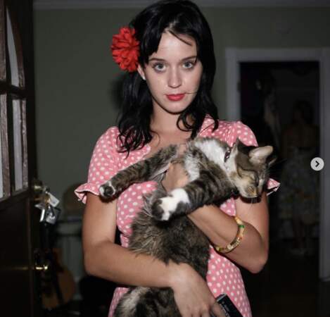 Katy Perry et sa chatte Kitty Purry