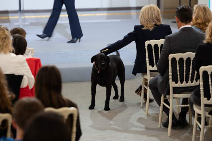 Le chien du couple présidentiel, Nemo lors de la remise de prix "Non au Harcèlement 2024" au palais de l'Elysée à Paris