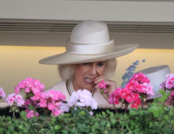 La reine Camilla stressée devant les courses hippiques du Royal Ascot, le 22 juin 2024