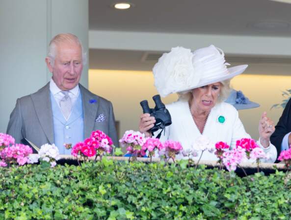 La reine Camilla, jumelles à la main, pour regarder les courses hippiques au Royal Ascot, le 20 juin 2024